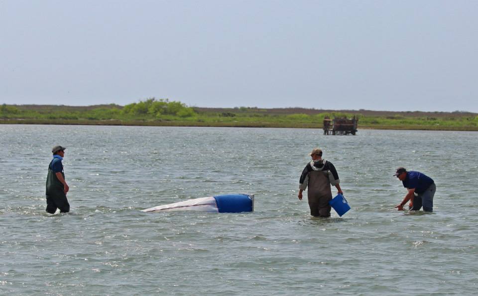 Center for Sportfish Science and Conservation researchers in the field