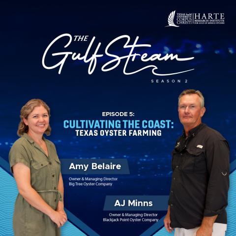 Gulf Stream Podcast episode