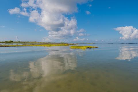 Laguna Madre horizon