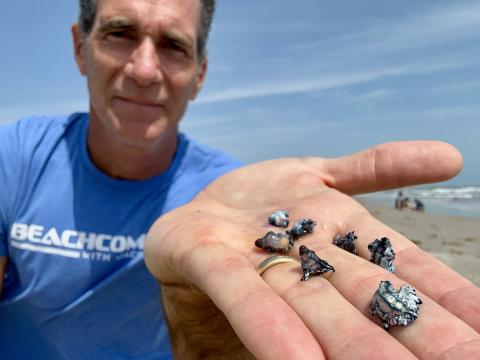 Jace Tunnell holding blue dragons on Texas beach