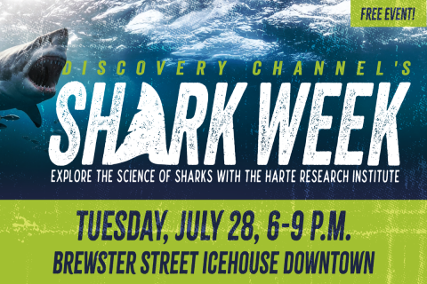 Shark Week Watch Party Flyer
