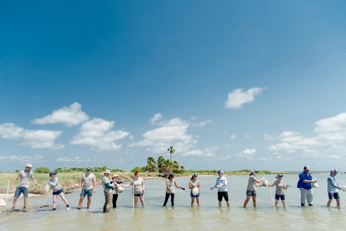 Oyster bagging event