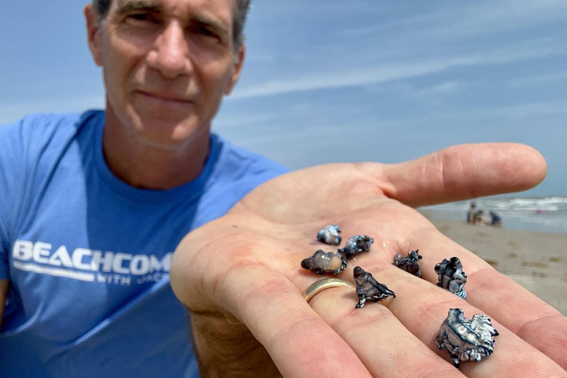 Jace Tunnell holding a handful of blue dragons