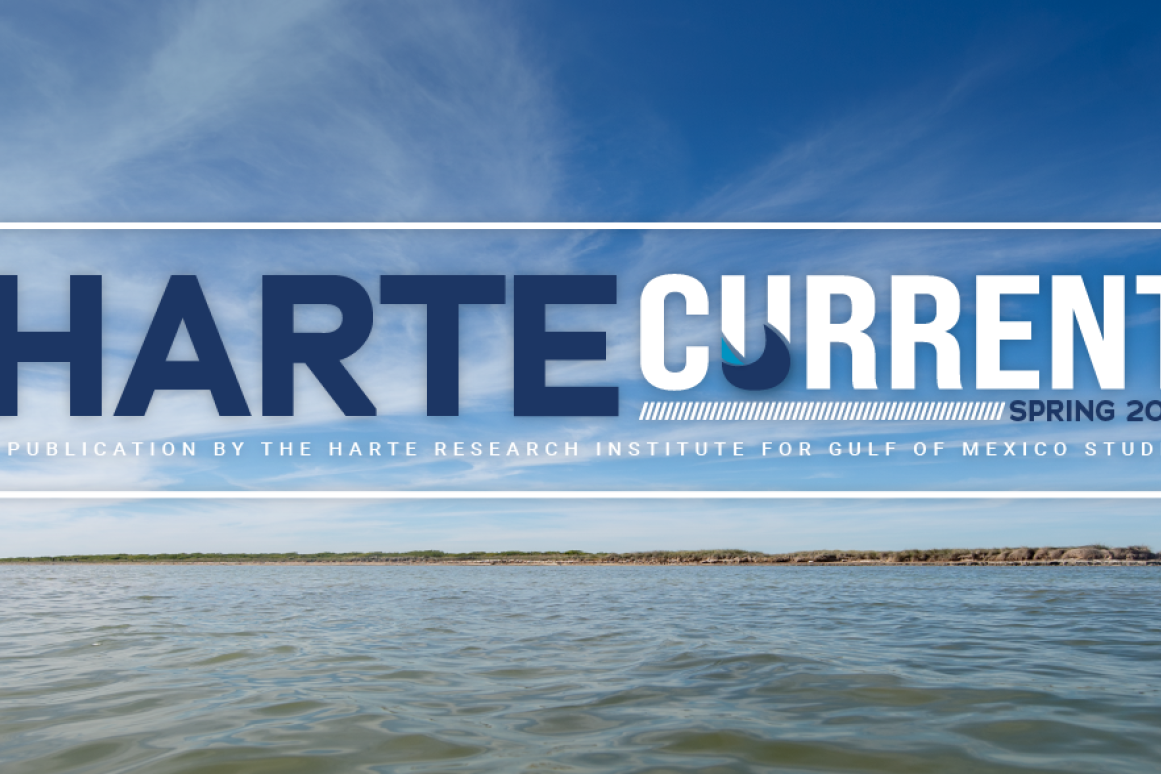 Harte Current Newsletter