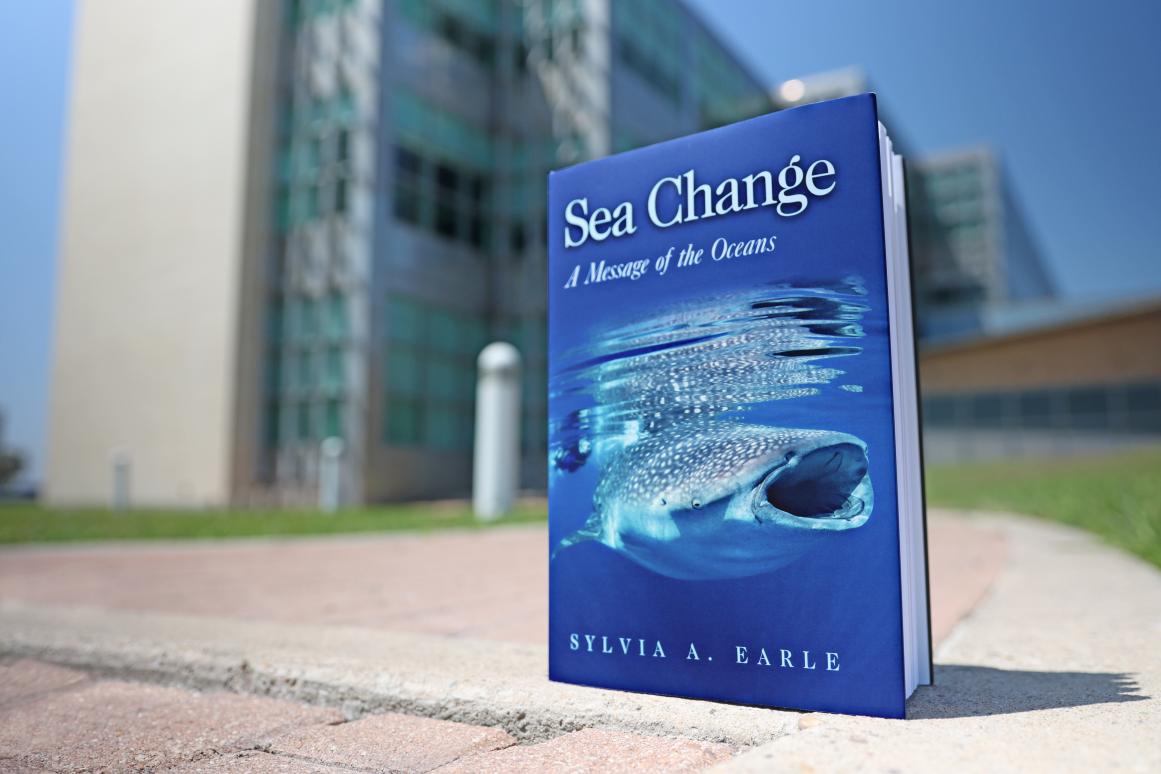 sea change