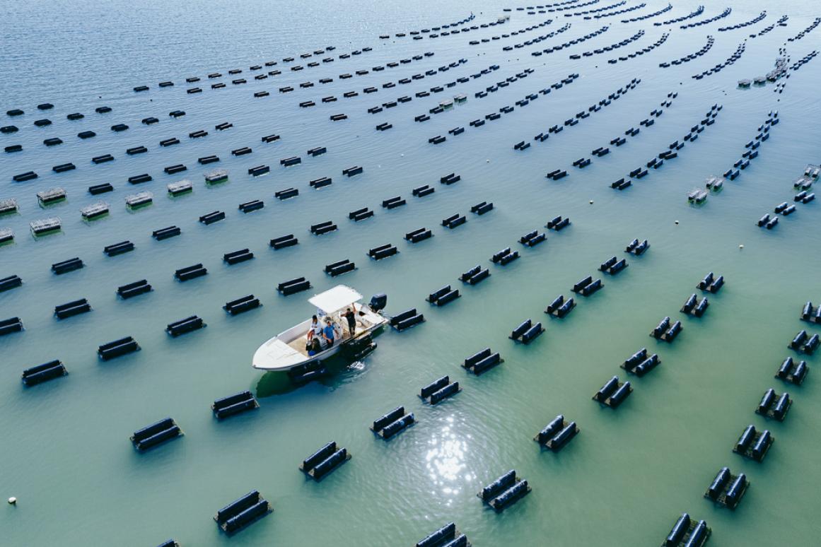 Texas oyster farm drone photo