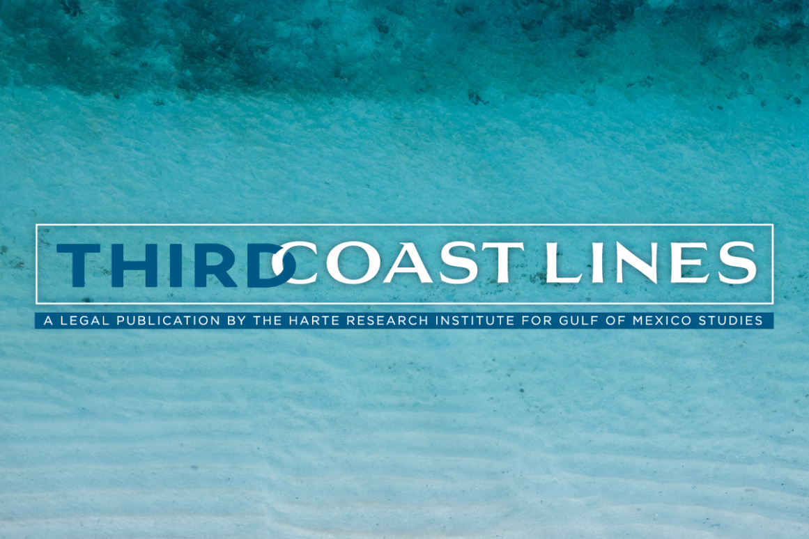 Third Coast Lines Publication