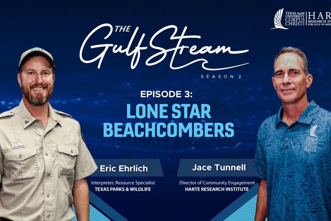 Lone Star Beachcombers podcast episode cover