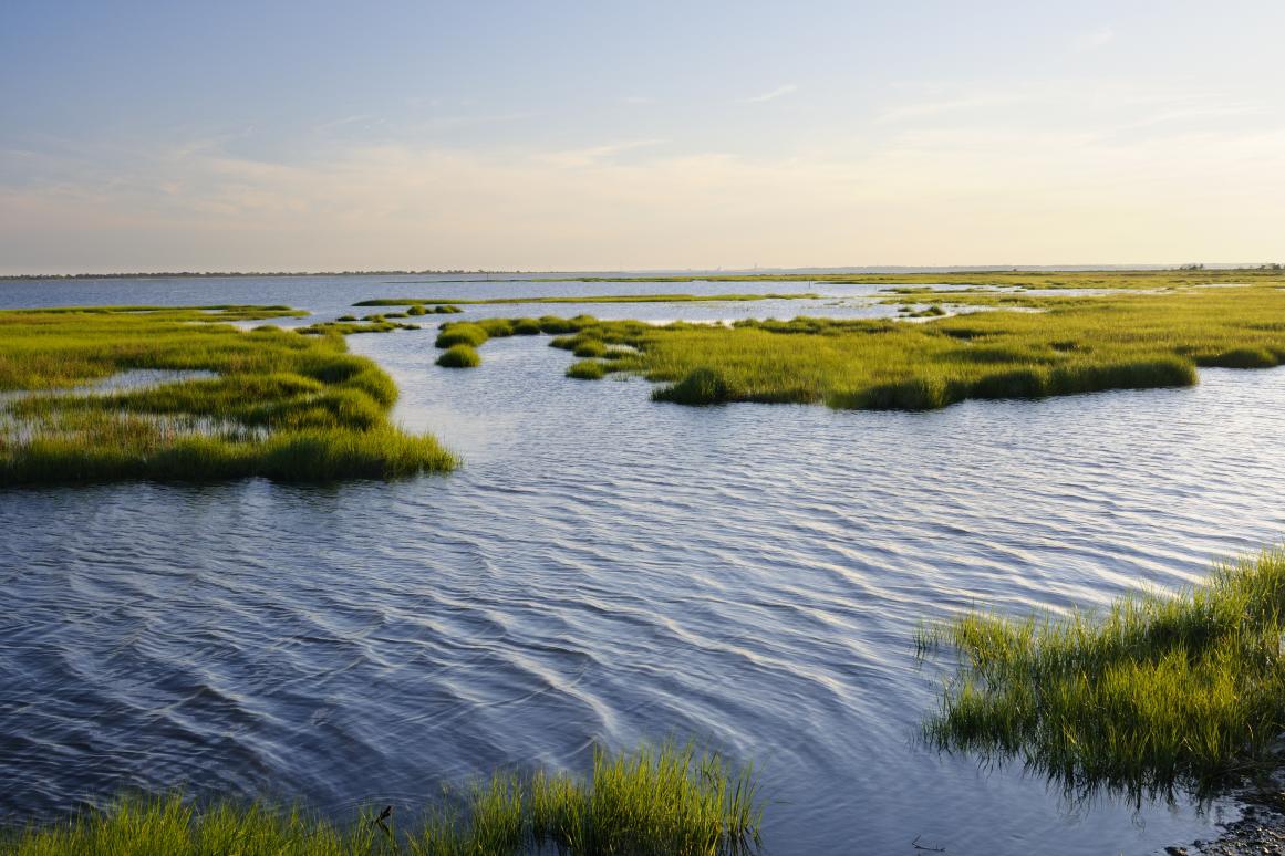 coastal waters