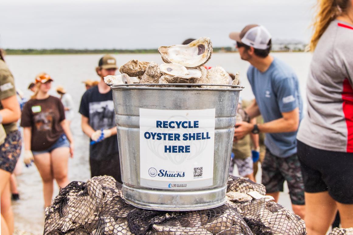 Sink Your Shucks bucket at restoration event