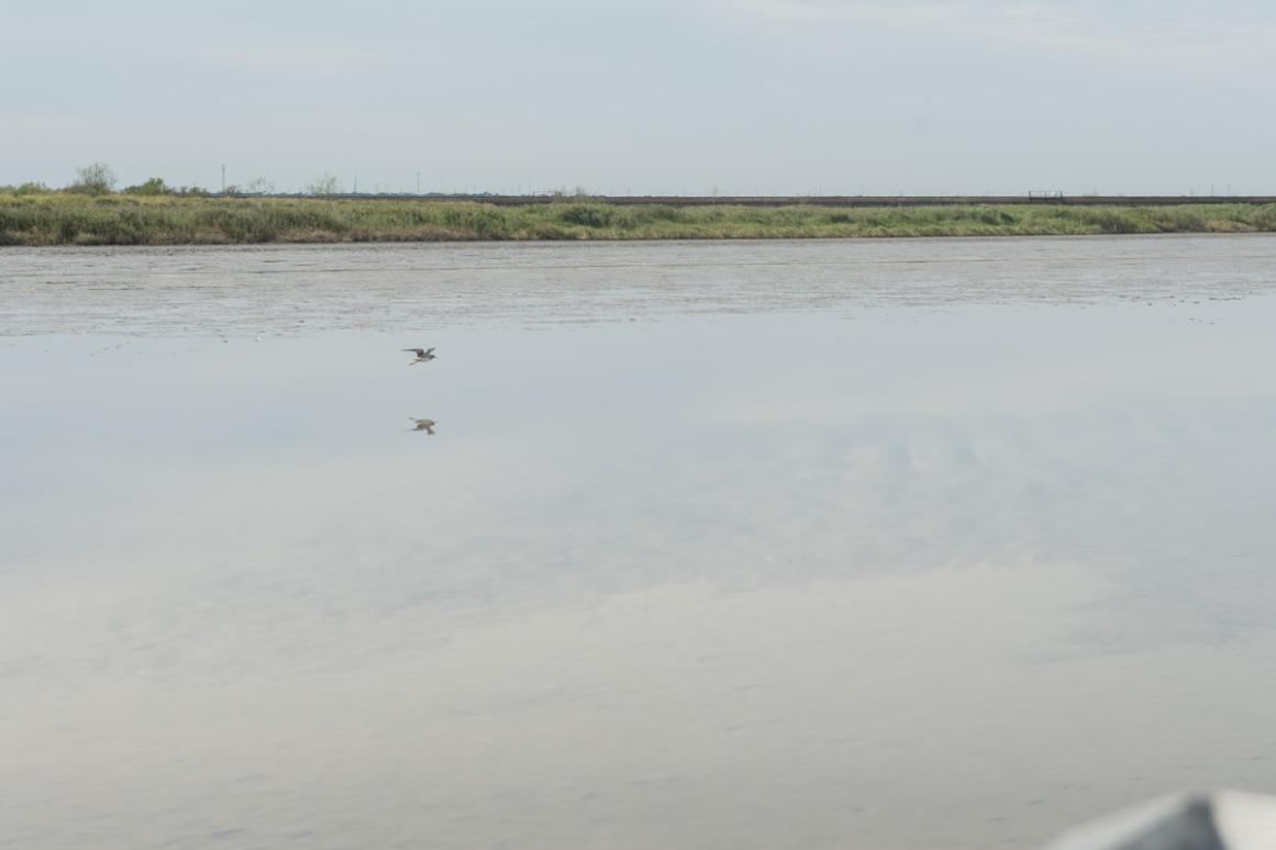 Nueces River mouth