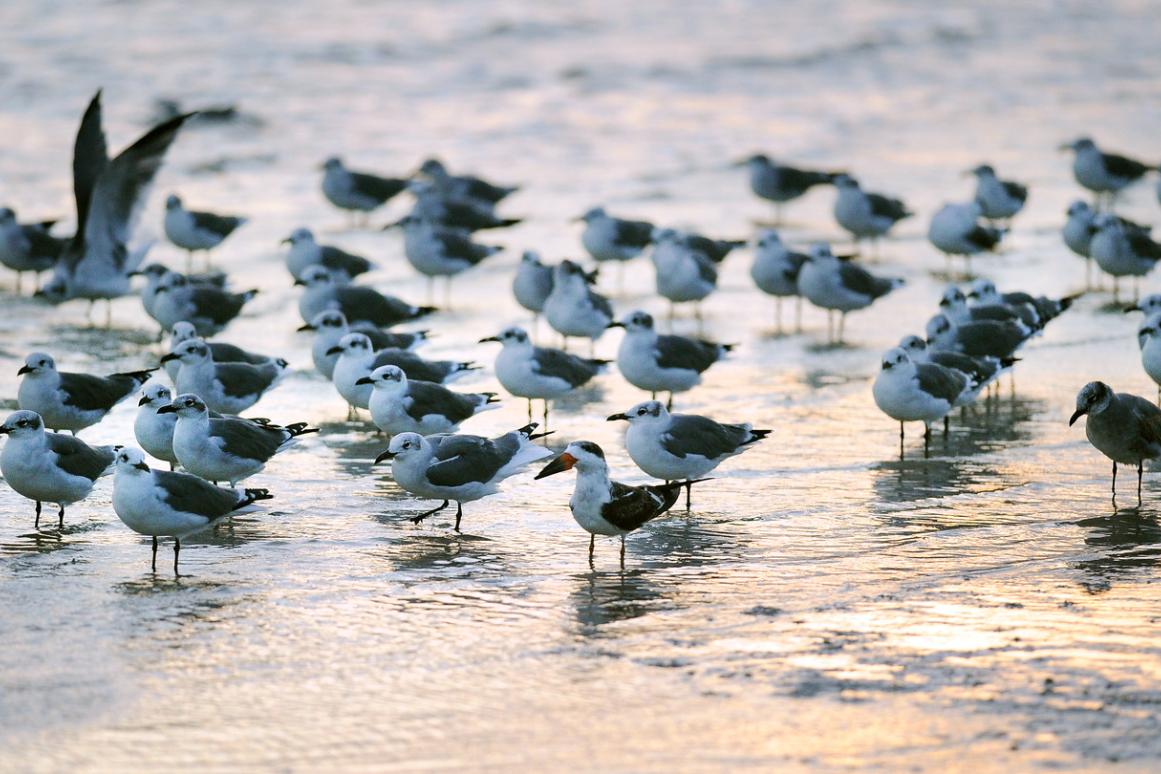 Center for Coastal and Marine Ecosystems