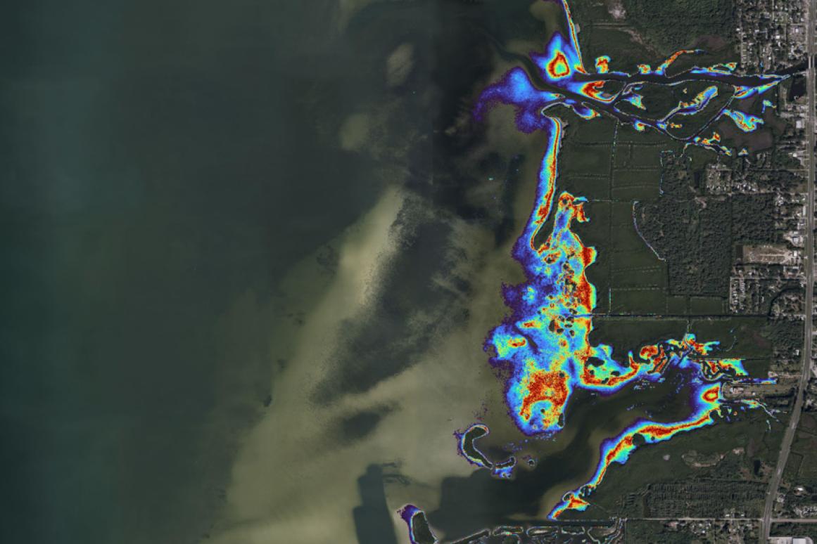 foraging map