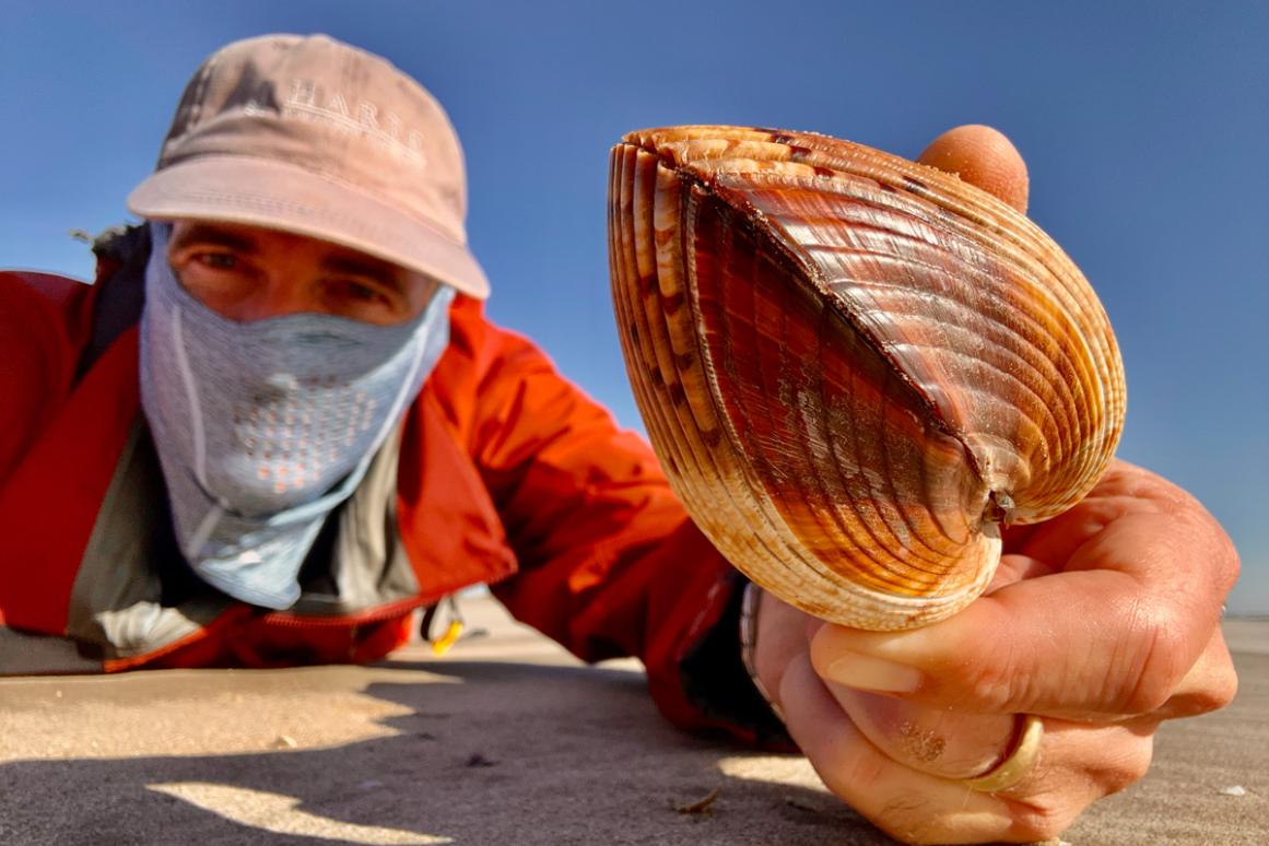 Jace Tunnell with atlantic cockle