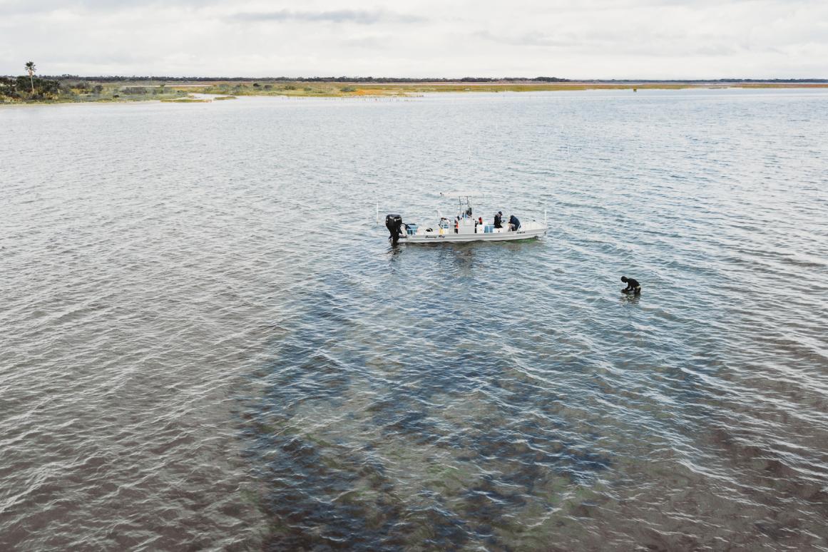 St. Charles Bay field work