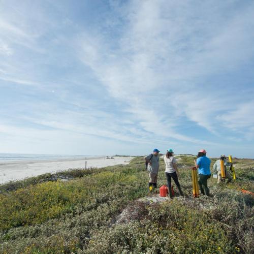 Surveying Texas beach