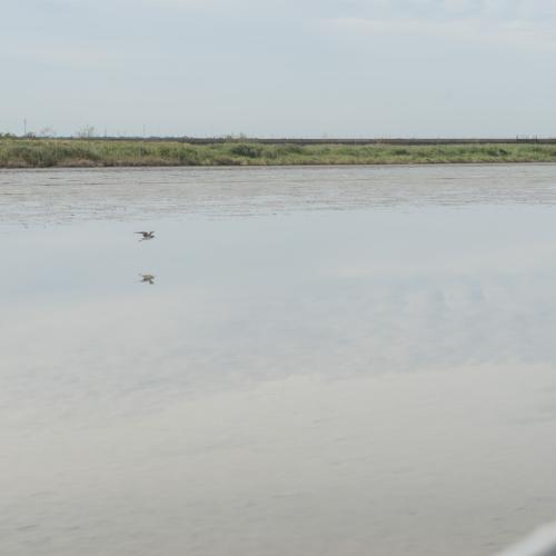 Nueces River mouth