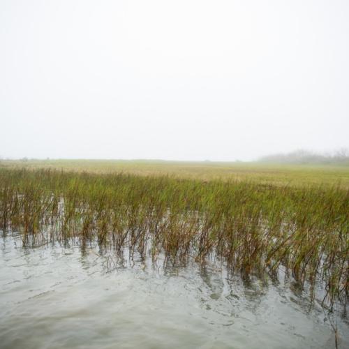 marsh in San Antonio Bay