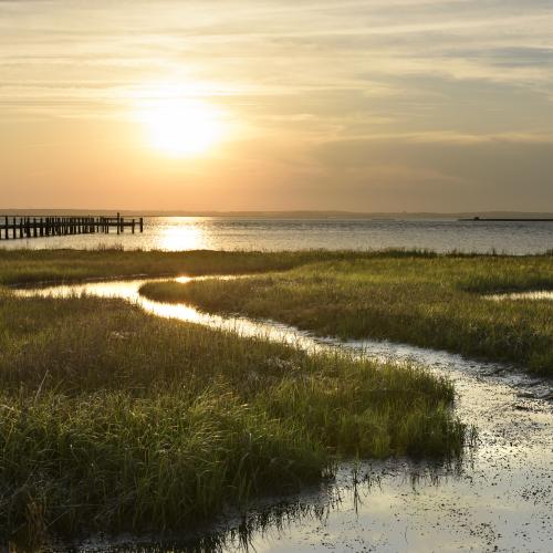 Matagorda Bay