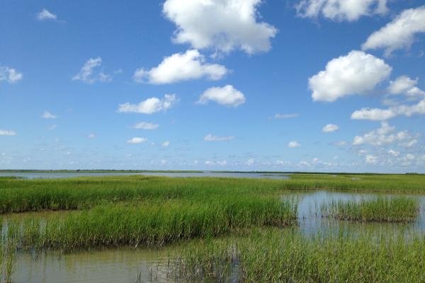 Matagorda Bay
