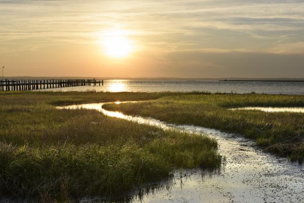 Matagorda Bay